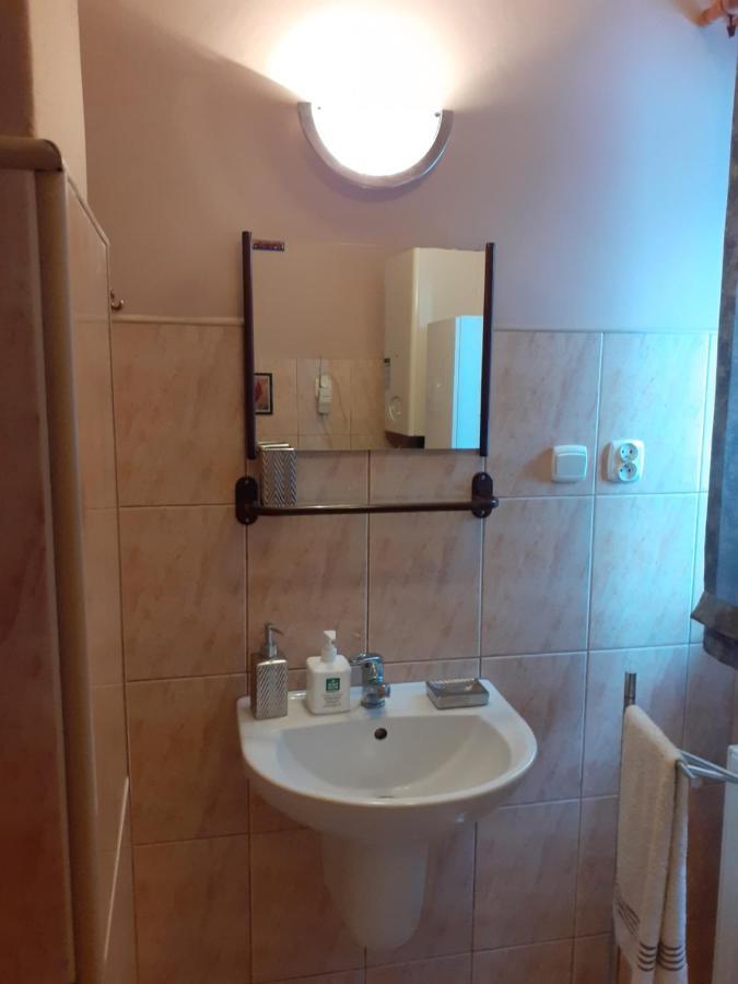 Dom W Skrzydlnej Villa Skrzydlna Dış mekan fotoğraf